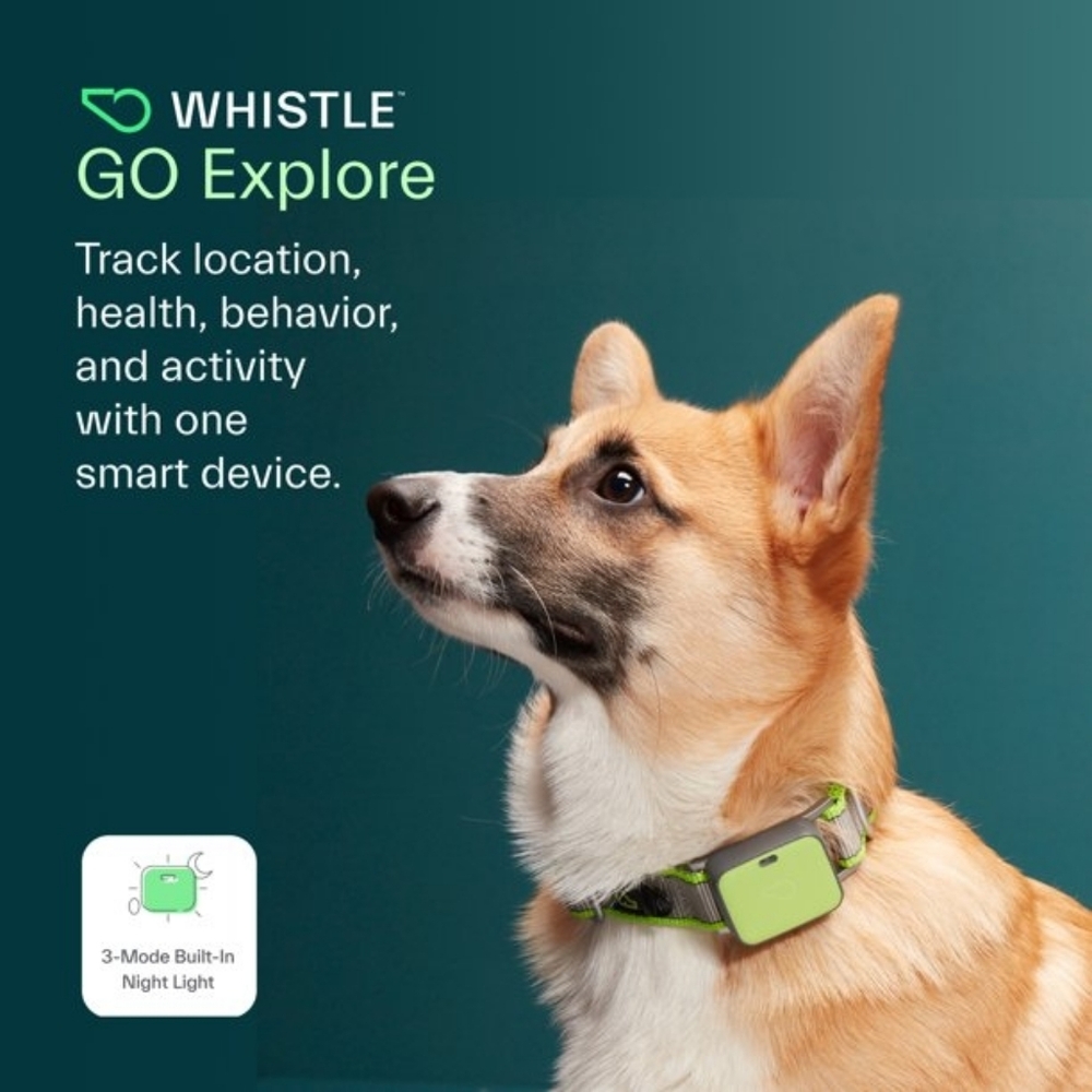 Whistle GO Explore